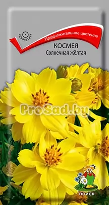 Космея Солнечная жёлтая