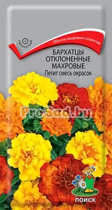 Бархатцы отклонённые махровые Петит смесь окрасок