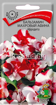 Бальзамин махровый Афина Афродита
