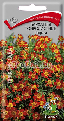 Бархатцы тонколистные Паприка