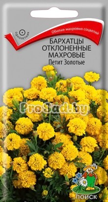Бархатцы отклонённые махровые Петит золотые