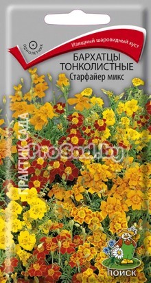 Бархатцы тонколистные Старфайер микс