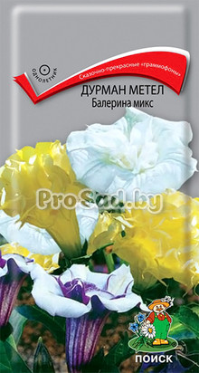 Дурман метел Балерина Микс