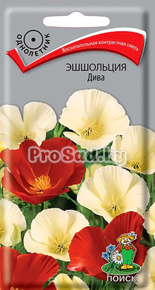 Эшшольция Дива