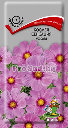 Космея Сенсация Розовая