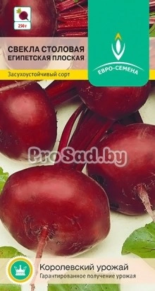Свекла столовая Египетская плоская