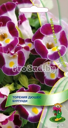 Торения Дюшес Бургунди
