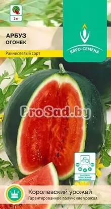 Арбуз Огонёк
