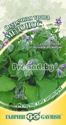 Огуречная трава (Бораго) Медонос