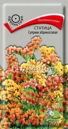 Статица (Кермек, Лимониум) Суприм абрикосовая