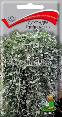 Дихондра Серебряные нити