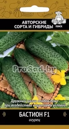 Огурец F1 Бастион