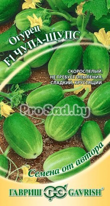 Огурец F1 Чупа-щупс