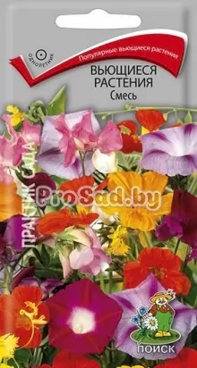 Смесь Вьющиеся растения