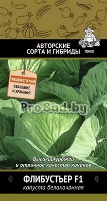 Капуста белокочанная F1 Флибустьер