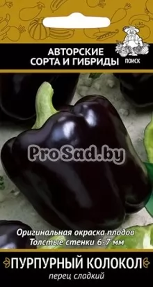 Перец сладкий Пурпурный колокол