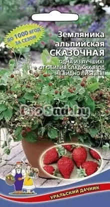 Земляника альпийская Сказочная