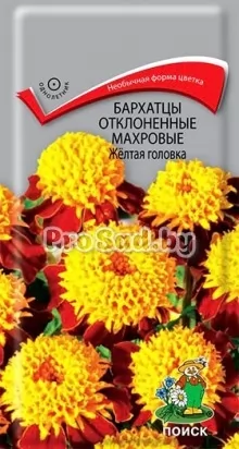 Бархатцы отклонённые махровые Жёлтая головка
