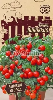 Томат Пиноккио