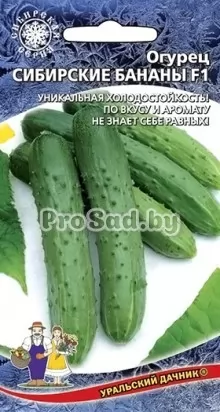 Огурец F1 Сибирские бананы