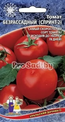 Томат Безрассадный
