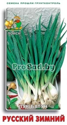 Лук батун (на перо) Русский зимний