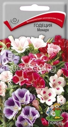 Годеция Монарх, смесь