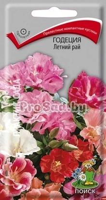 Годеция Летний рай, смесь
