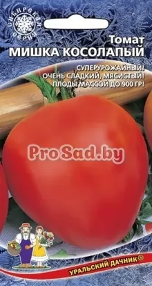 Томат Мишка косолапый