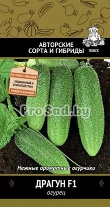 Огурец F1 Драгун