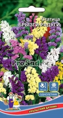 Статица Брызги радуги