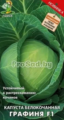 Капуста белокочанная F1 Графиня