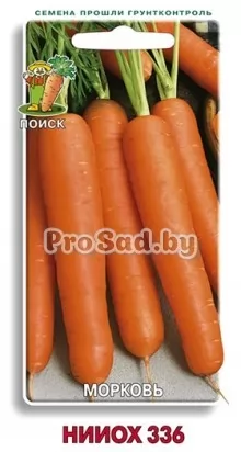 Морковь НИИОХ 336