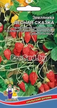 Земляника альпийская Лесная сказка