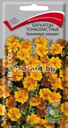 Бархатцы тонколистные Оранжевый самоцвет