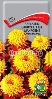 Бархатцы отклонённые махровые Жёлтая головка