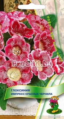 Глоксиния Импресс Красные чернила