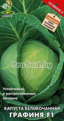 Капуста белокочанная F1 Графиня