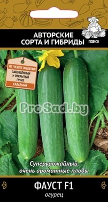Огурец F1 Фауст