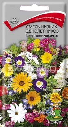 Смесь низких однолетников Цветочное конфетти