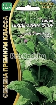 Табак курительный Герцеговина Флор