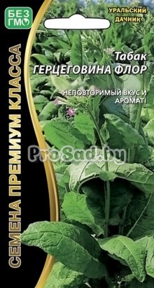 Табак курительный Герцеговина Флор