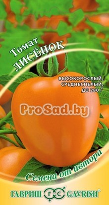 Томат Лисёнок