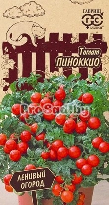 Томат Пиноккио