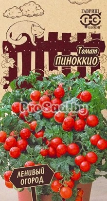 Томат Пиноккио