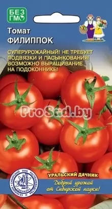 Томат Филиппок