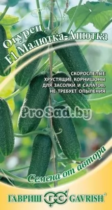 Огурец F1 Малютка-Анютка