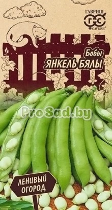 Бобы Янкель бялы