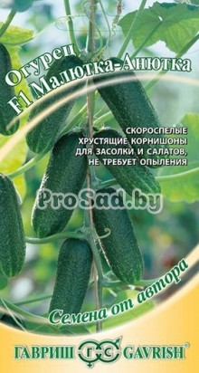 Огурец F1 Малютка-Анютка