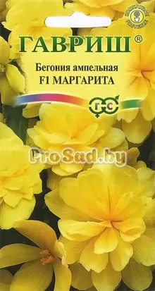 Бегония ампельная F1 Маргарита